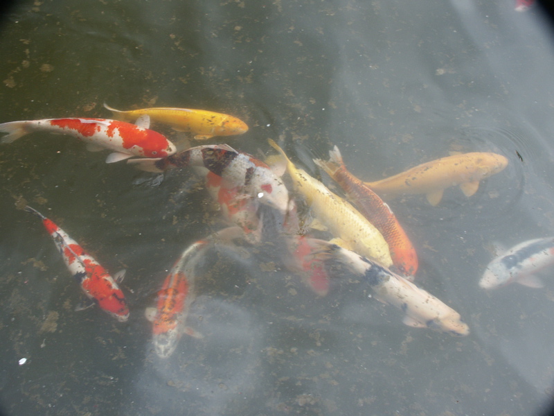 PICT0002.JPG