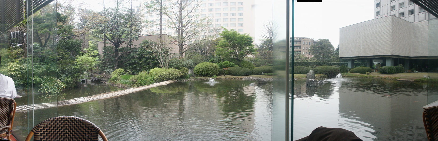 pond
