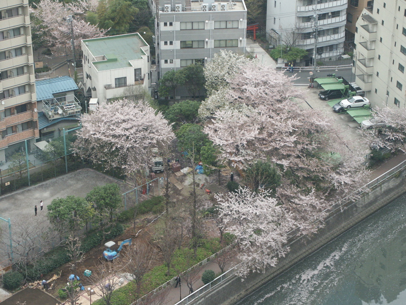 PICT0013.JPG